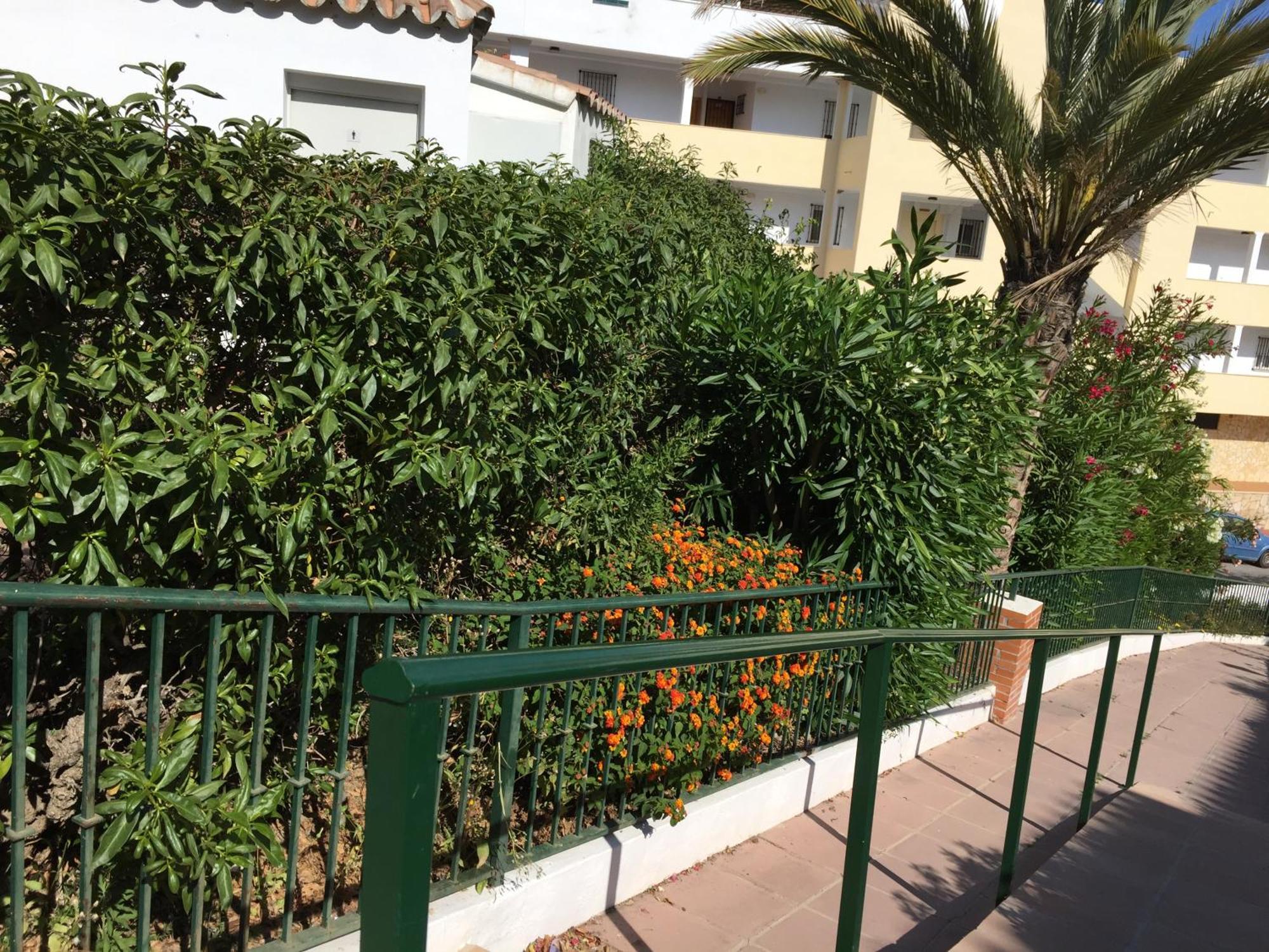 Apartmán Stella Blanca 24B Fuengirola Exteriér fotografie